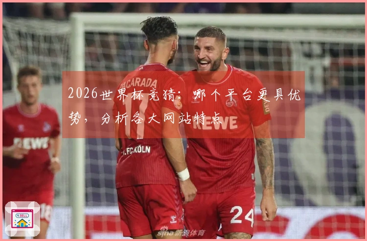 2026世界杯竞猜：哪个平台更具优势，分析各大网站特点