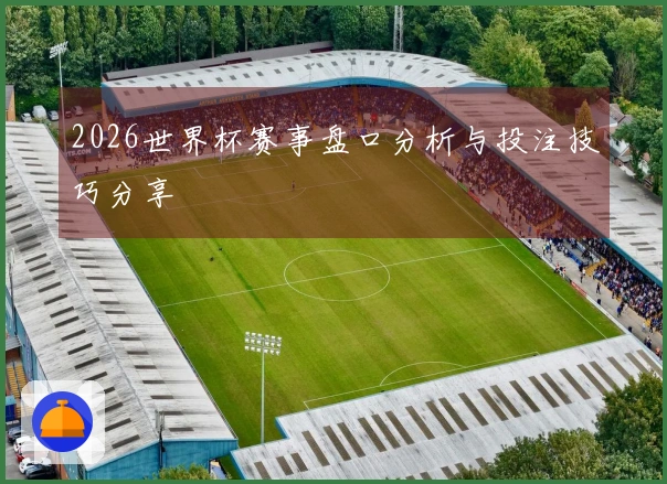 2026世界杯赛事盘口分析与投注技巧分享