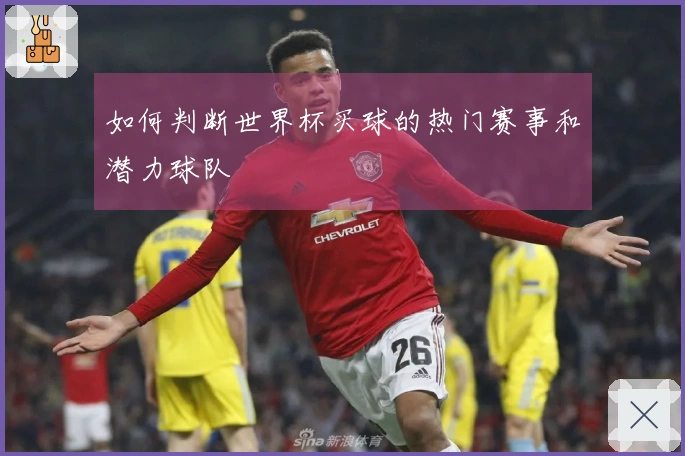如何判断世界杯买球的热门赛事和潜力球队