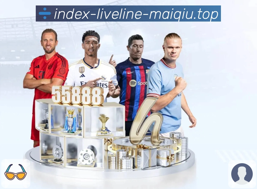 体育平台欢迎图